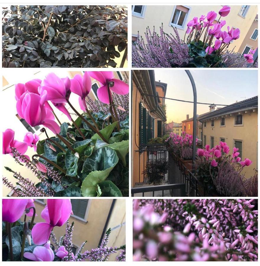 Veronantica B&B Eksteriør billede